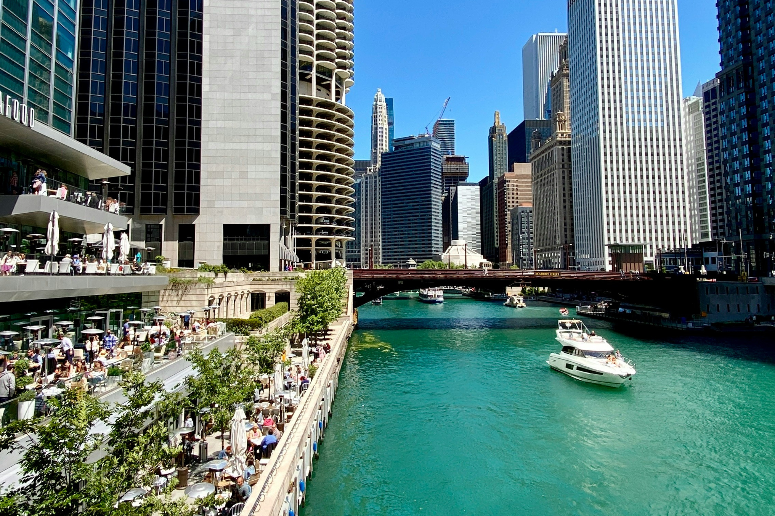 Dining with a View in Chicago